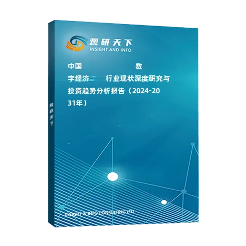 中國?????????????數(shù)字經(jīng)濟????行業(yè)現(xiàn)狀深度研究與投資趨勢分析報告（2024-2031年）